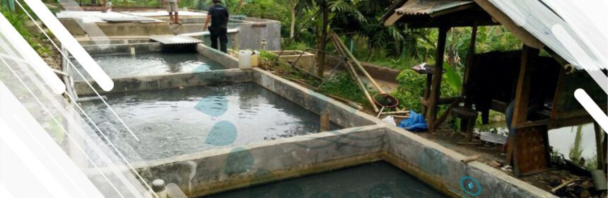 Jenis Koagulan dan Koagulan Aid